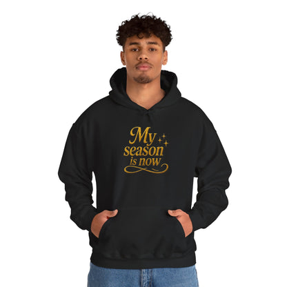 MY SEASON IS NOW Hoodie